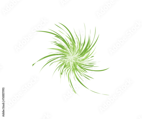 grass icon. Hand-drawn grassland isolated on the white background