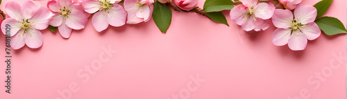 Cherry flowers on pink background, romantic spring flowers copy space for header, banner, web, cards, Apple pink flowers summer wallpapers with isolated flowers