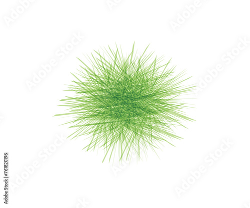  Watercolor grass on white background. Hand drawn light green spring fresh floral background