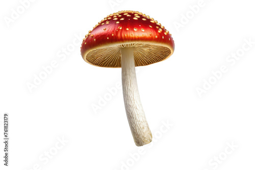 Fly mushroom, isolated, pristine white background, emphasizes texture, vibrant red cap tinged with gold, stem curving slightly, high-quality stock photo, UHD drawing, ultra-clear
