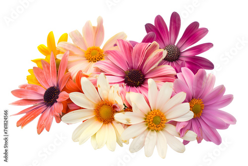 Colorful Daisy Flowers Bouquet - Isolated White Transparent Background PNG 