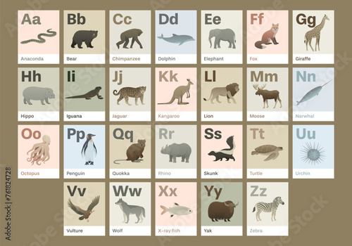 Animal alphabet cards design. Educational English learning. ABC cards with animals and letters. Elegant vector illustration set. © Anastasiia Neibauer