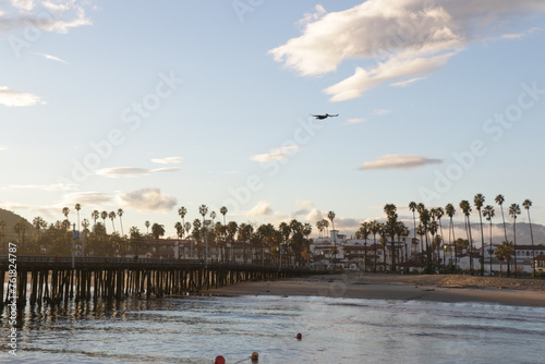 Looking over Stearns Wharf in Santa Barbara, California at sunset with palm trees and a pelican in silhouette.
