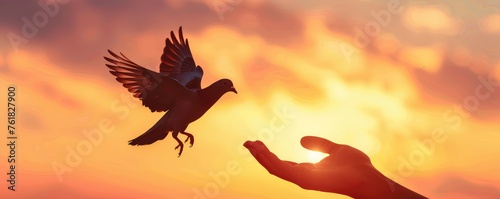 releasing a dove into a golden sunset, a powerful metaphor for peace and freedom © amazingfotommm