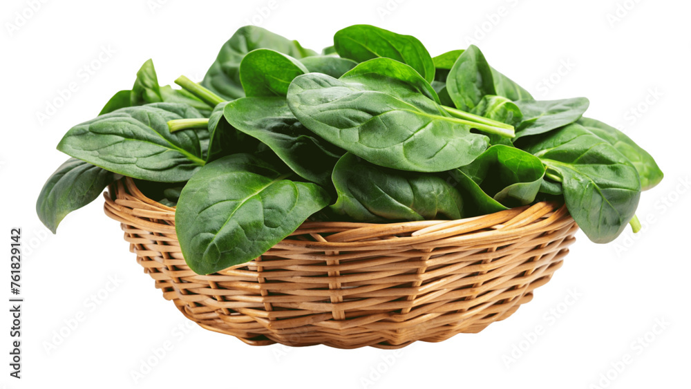 Spinach in the basket isolated on Transparent background. Spinach in the basket isolated on Transparent background.