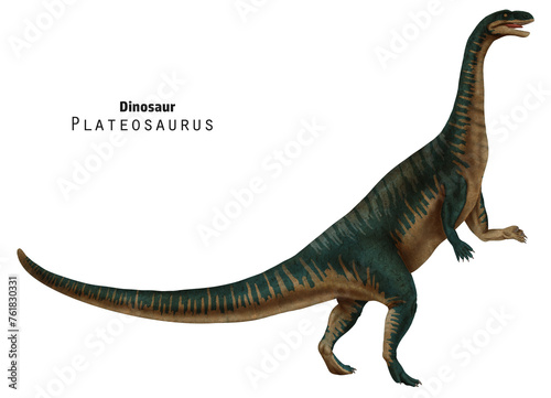 Plateosaurus illustration. Dinosaur with long neck and tail. Green dino