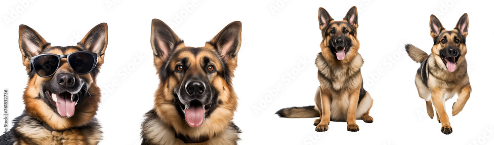 German Shepherd dog’s happy moments: running, sitting, close up view, playing, and with sunglasses, Isolated on Transparent Background, PNG