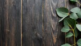 backdrop or background wooden veneer black eucalyptus tree