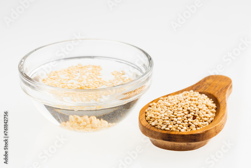 Quinoa cereal soaked in water - Chenopodium quinoa © Luis Echeverri Urrea
