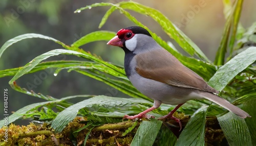 A bird in a wild telephoto, birdwatching, AI-generated.