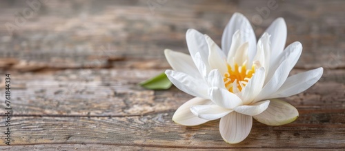 White Lotus on wooden surface © Vusal