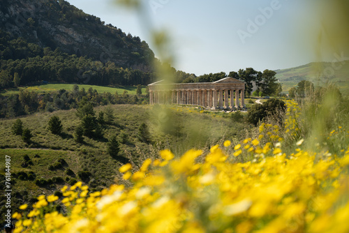 Fotografija Ancient Greek temple seen through a veil of yellow wildflowers
