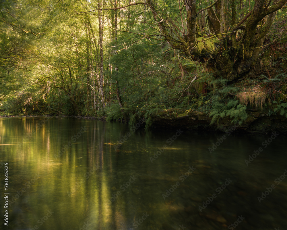Mystical atmosphere and absolute silence on a hot summer afternoon in a calm river Mystical atmosphere and absolute silence on a hot summer afternoon in a calm river