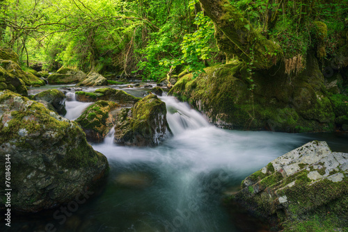 Fototapeta Naklejka Na Ścianę i Meble -  Small river goes around rocks and surrounds trees in spring