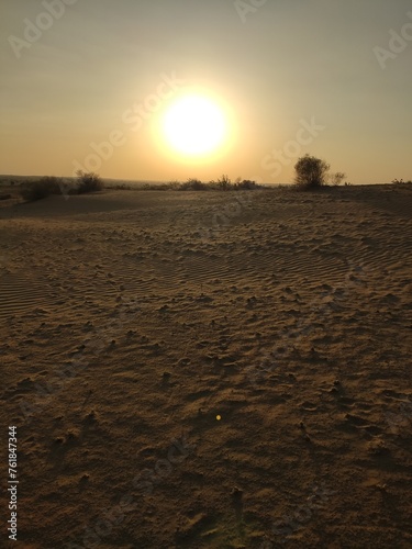Admiration d'un couchée du Soleil, en plein milieu d'un vaste désert de sables, en Inde, belle couleur de ciel orange ou jaune, quelques personnes, un peu de végétation, sauvage et hostile, tourisme