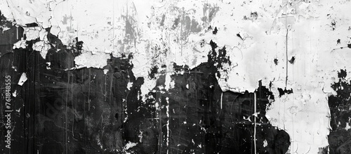 A monochrome photo of a dirty facade wall in the city, showing signs of soil and plant growth. The black and white image captures the urban landscape with a sense of decay photo