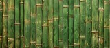 A detailed shot showcasing a line of vibrant green bamboo plants, with their slender stems and unique patterns, creating a natural and soothing visual aesthetic