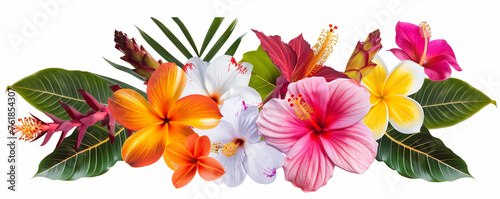 Tropical fowers isoated on white background photo