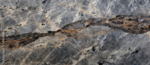 A detailed close up of a bedrock showing a wellpreserved fossil of a fish embedded in it, showcasing the geological history of the landscape photo