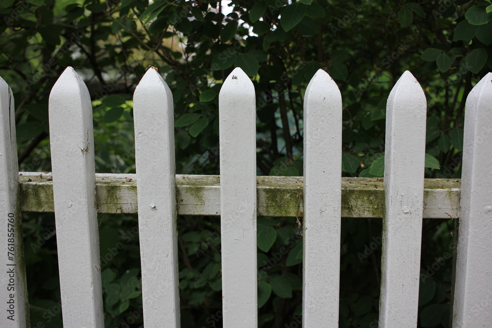 white picket fence