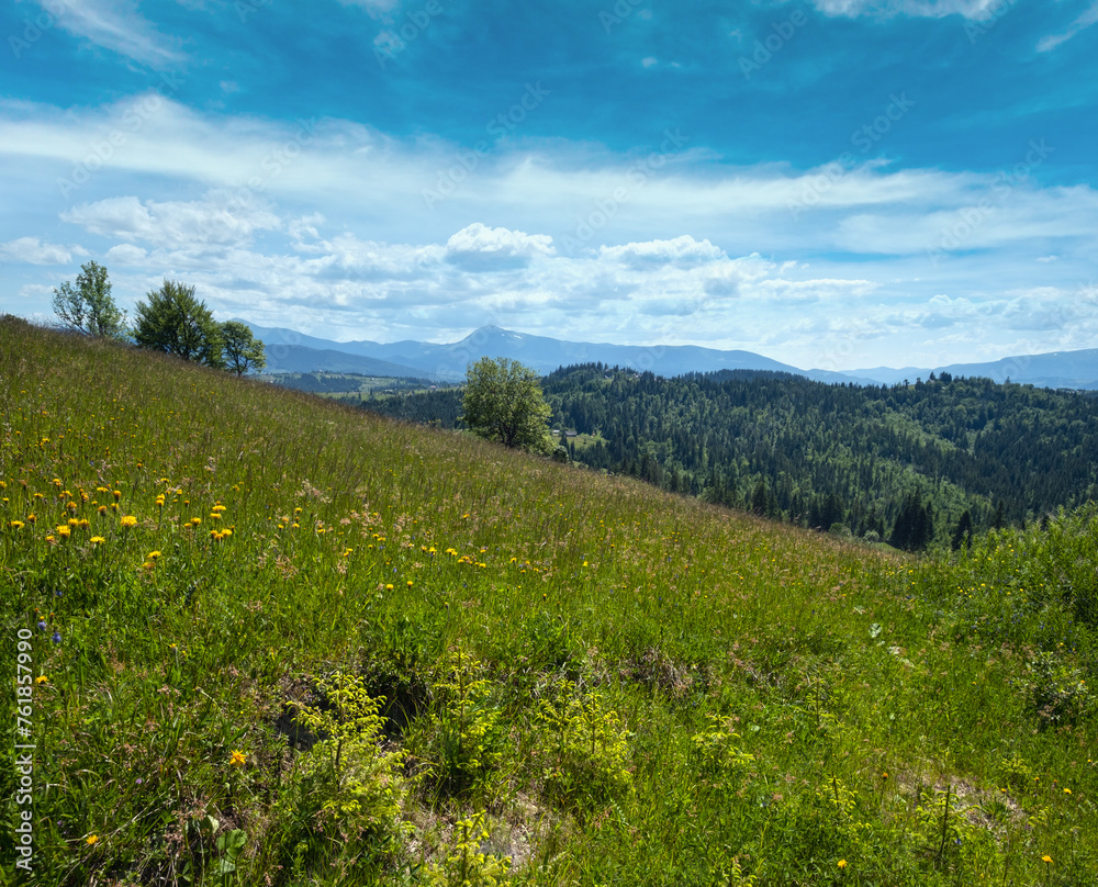 Summer Chornohora massiv mountains scenery view from Sevenei hill (near Yablunytsia pass, Carpathians, Ukraine.)