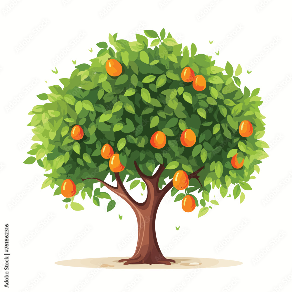 Orange tree flat vector illustration isloated on wh