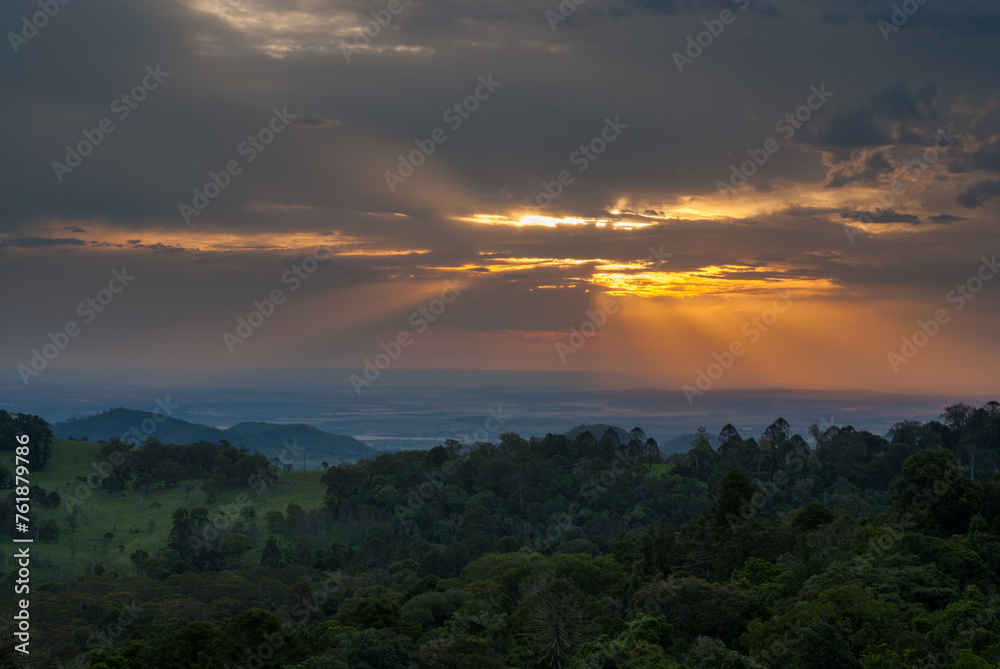 Fototapeta premium Bushwalking in the Bunya Mountains of South East Queensland offers a journey through lush rainforest, towering bunya pines, and panoramic vistas, inviting adventure seekers into nature's embrace.