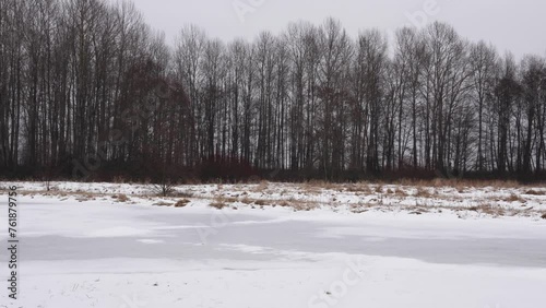 Wallpaper Mural Tranquil Winter Woods with Frozen Lake and Snow Cover Torontodigital.ca