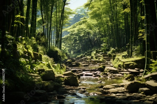 Water flows through a forest of green trees and plants