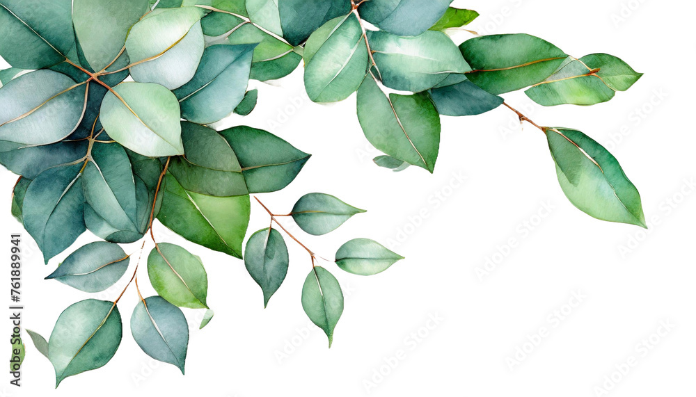 watercolor hanging floral frame with eucalyptus green leaves and branch ...