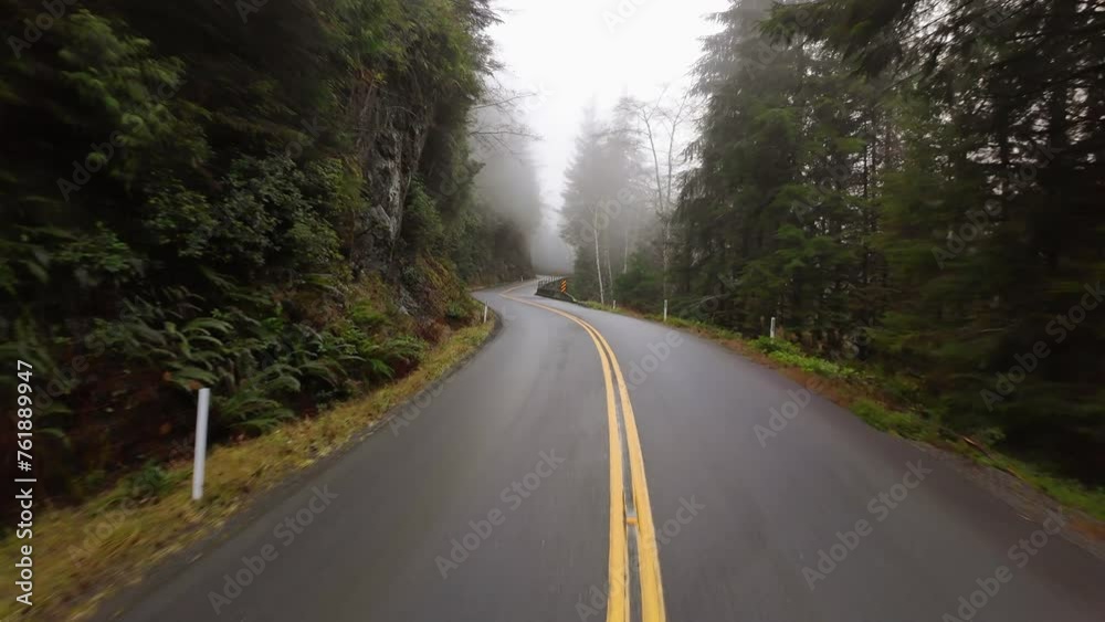 Scenic Highway surrounded by Trees. Foggy. Overcast. Port Renfrew, British Columbia, Canada. Scenic Highway surrounded by Trees. Foggy. Overcast. Port Renfrew, British Columbia, Canada.