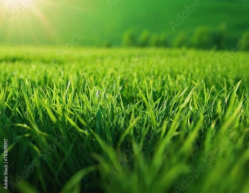 Green grass, against a background of blurred nature. Spring and summer concept. closeup grass texture, blurred background, sun rays. Nature concept. Copy space for text.