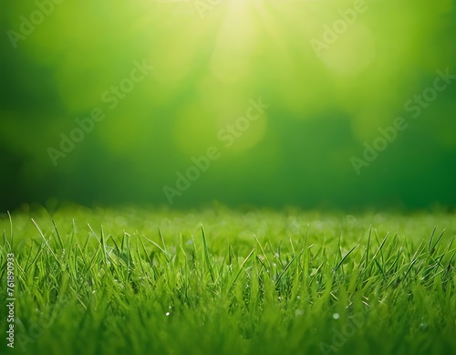 Green grass, against a background of blurred nature. Spring and summer concept. grass texture, blurred background, sun rays. Nature concept. Copy space for text.