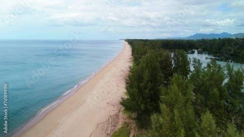 Wallpaper Mural Pine Trees along the Andaman Coast in Thailand, Beach full of Pine Trees, Pine Tree Forest along a Tropical Remote Beach Torontodigital.ca