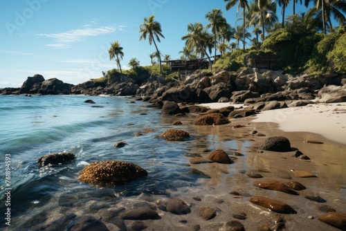 A sunny beach with rocks, palm trees, and clear water under a blue sky