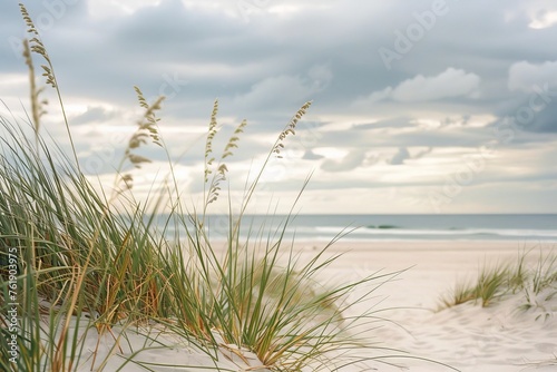 Beach Grass in Soft Focus with Sandy Shore and White Sky. Generative AI.
