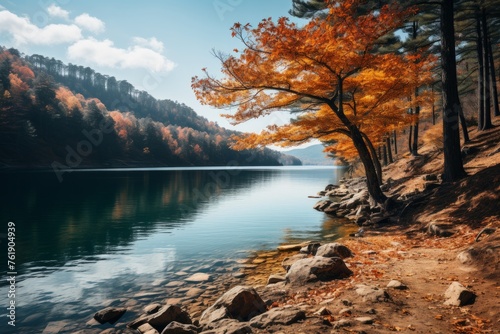 A serene lake nestled among trees and rocks in a forest © Yuchen Dong