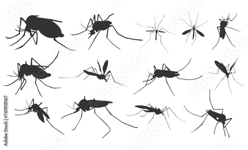 set of mosquito silhouette, insect animal. Vector illustration