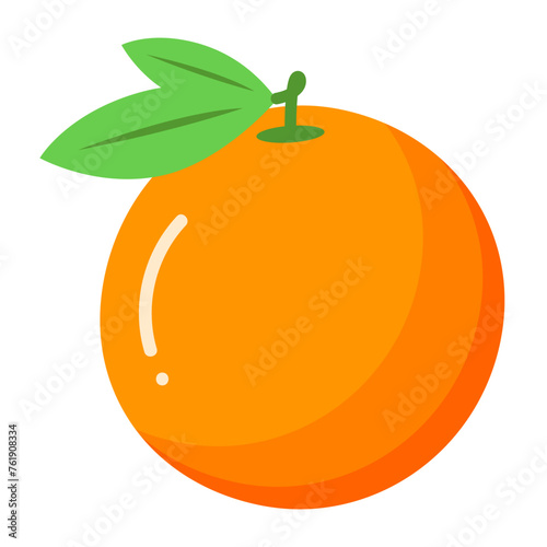 illustration of orange fruit