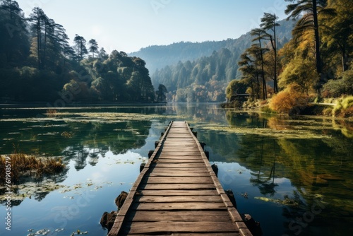 Wooden dock on lake in nature surrounded by trees in ecoregion photo