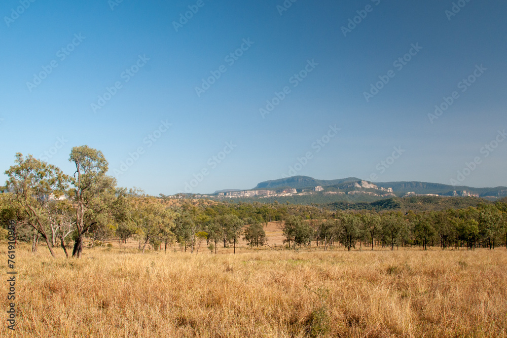 Serene landscape near Carnarvon Gorge, Queensland, featuring lush greenery, rugged cliffs, and meandering waterways.