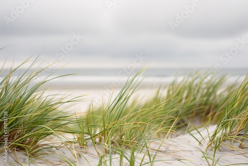 Beach Grass in Soft Focus with Sandy Shore and White Sky. Generative AI. 