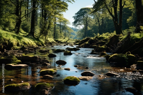 Water flowing through a forest with trees and rocks in a riparian zone photo