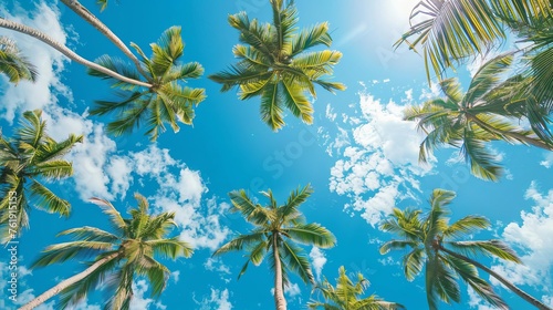 Tropical beach with blue sky and palm trees viewed from below, evoking a sense of summer relaxation and wanderlust, travel photography