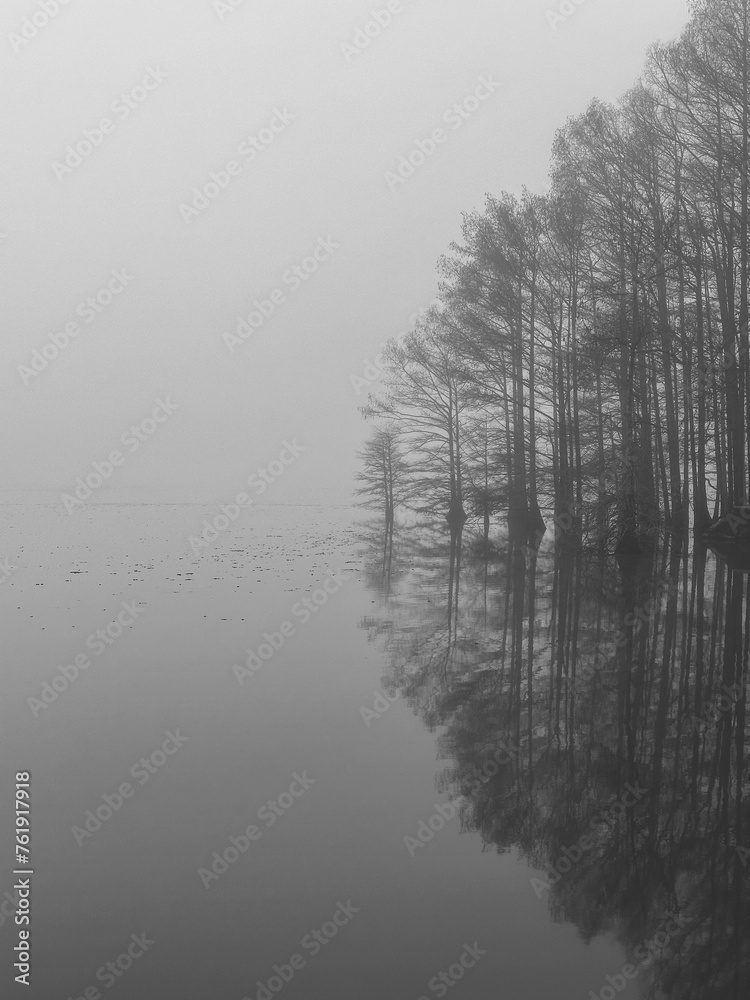 Fototapeta premium misty and foggy morning on the lake