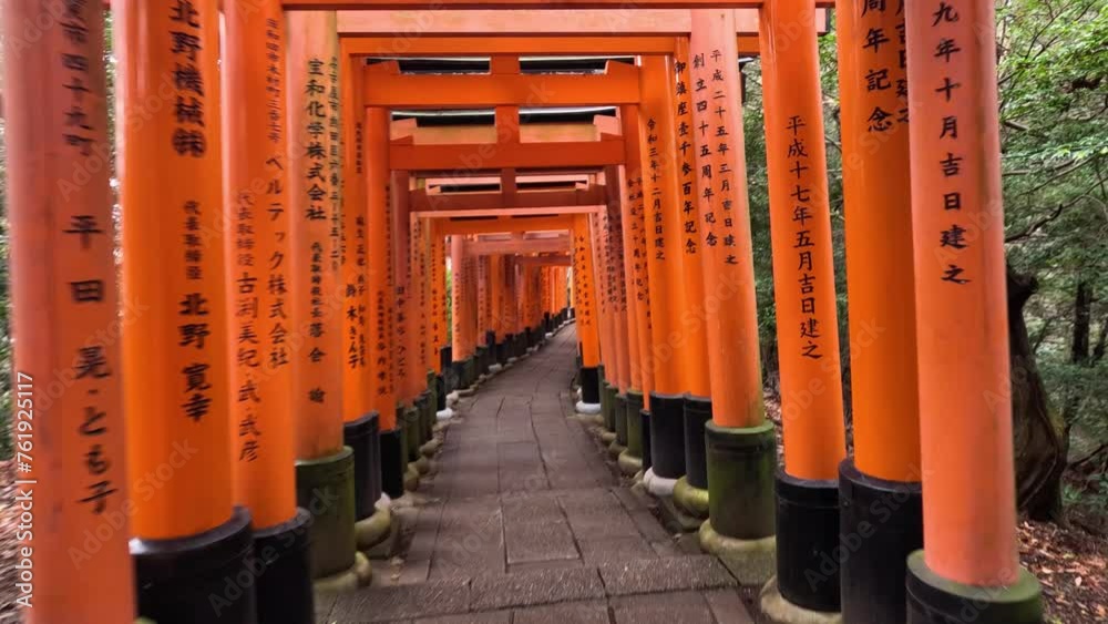Journey Through Torii Gate Pathway Journey Through Torii Gate Pathway