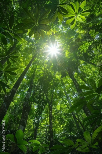 Vibrant jungle, towering trees reaching skyward, sun filtering through leaveshigh detailed