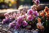 Purple flowers bloom in rock garden, adding color and beauty to the landscape
