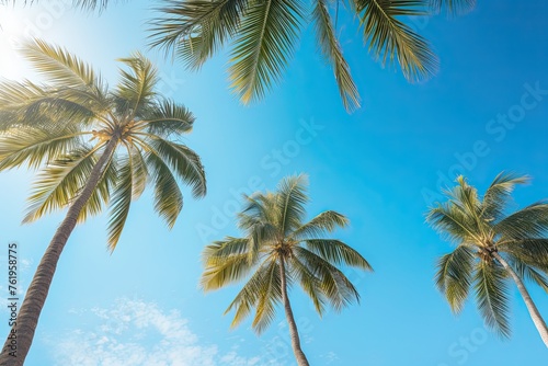 Low angle view of tropical palm trees over clear blue sky background with copy space