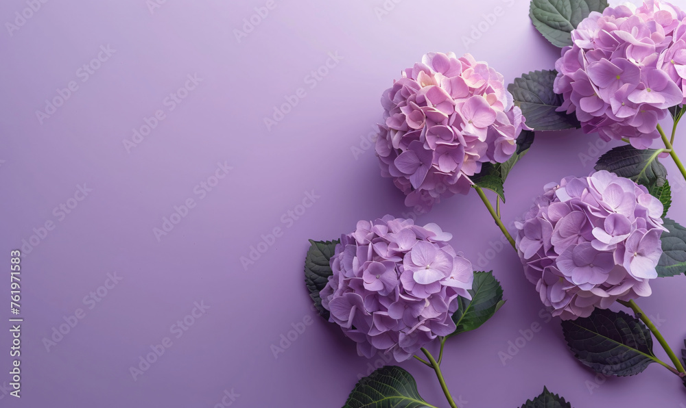 hydrangeas background-generative ai